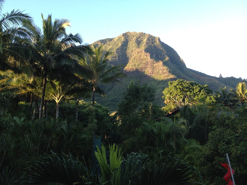 Kauai in the Morning